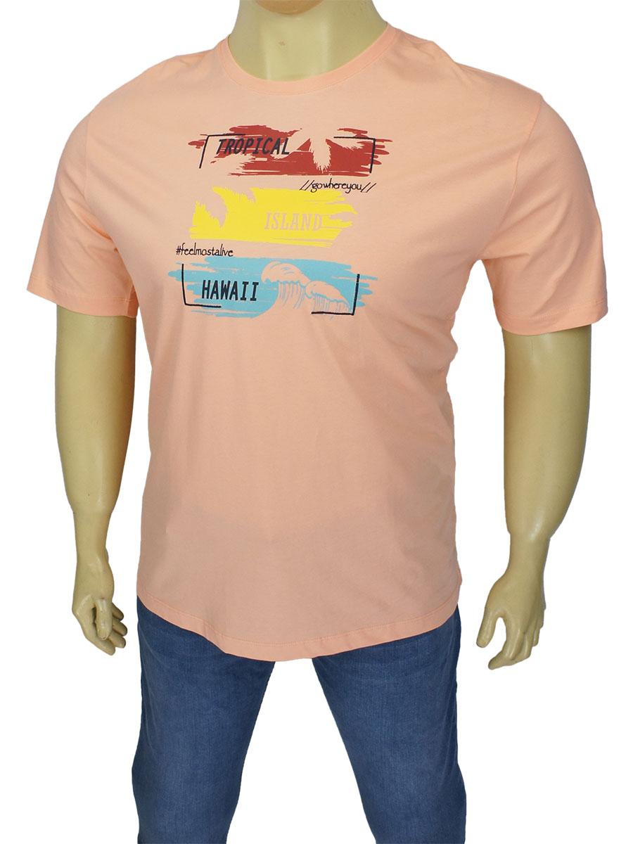 Турецька чоловіча футболка ARMA 8677 Powder великого розміру, фото 1