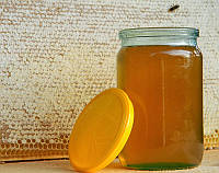 Мёд чебрец или тимьян