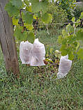 Мішeчок для винограду від ос діаметром 12 см (20*30 см)  з агроволокна, фото 10