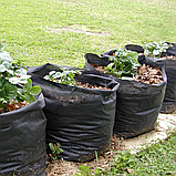 Grow Bag 10 літрів Розумний мішок для вирощування рослин (щільність 70 г/м2), фото 5