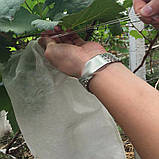 Мішечки для грон винограду діаметром 24 см (38*45 см) захист від ос з агроволокна, фото 3