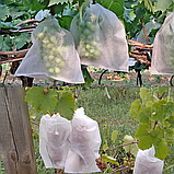 Мішок від ос на виноград 2 кг, 20*30 см (мішечок для захисту винограду від ос, мошок, птахів, опіків, перезагару), фото 5
