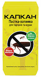 Капкан — липучка для тарганів і мурах