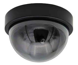 Системи охорони та безпеки