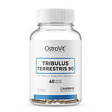 Трібулус Ostrovit Tribulus Terresteris 60 caps, фото 2