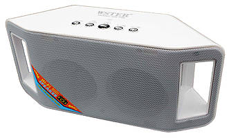 Портативна бездротова колонка WSTER WS-Y66, квітника, bluetooth