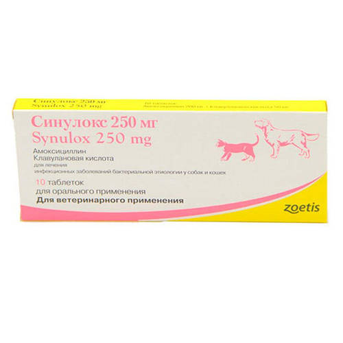 Синулокс, таблетки 500мг - 10 таблеток, цена 410.87 грн - Prom.ua (ID ...