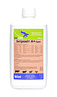Интровит А+орал - витамины водорастворимые для нормализации обмена веществ 100мл