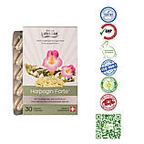 Харпагін Форте для суглобів Швейцарія, фото 2