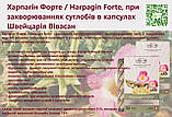 Харпагін Форте для суглобів Швейцарія, фото 3