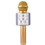 Мікрофон для караоке бездротовий ЗОЛАТИСНИЙ (GOLD) арт. 48340, фото 2