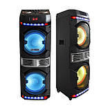 Комплект потужної парної акустики Leisound Proaudio 450 W (USB/FM/Bluetooth) + 2 радіомікрофони Djпульт, фото 3