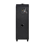 Комплект потужної парної акустики Leisound Proaudio 450 W (USB/FM/Bluetooth) + 2 радіомікрофони Djпульт, фото 4