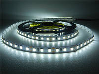 Светодиодная лента 12В 1м MTK-600W-3528-IP20-12 SMD 2835 120 LED/m IP20 Белый