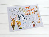 Фетр з принтом ДИКІ ТВАРИНИ, 22x30 см, корейський жорсткий 1.2 мм, фото 2