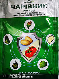 Чарівник 20г.