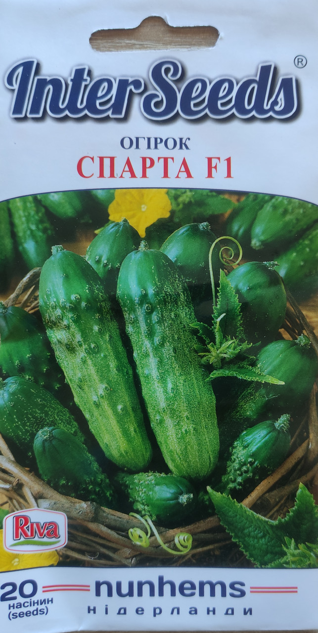 Огірок Спарта ультраранний 20 шт., Inter Seeds, Голландія, фото 1