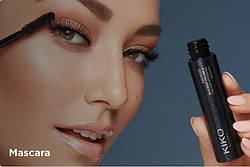 Туші і підводки