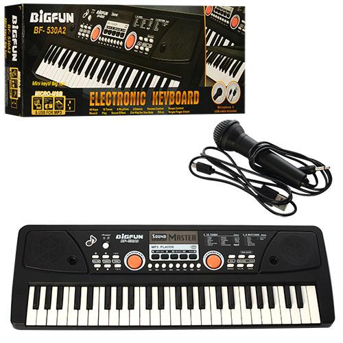 Синтезатор Bigfun BF-530A2 – Дитячий з мікрофоном, фото 1