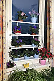 Підставка віконна для квітів "Слім (SLIM) XL", фото 3
