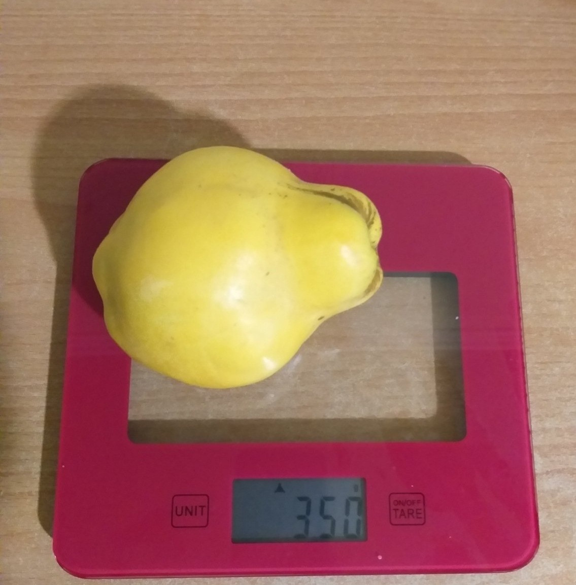 Айва Грушевидная (крупная,урожайная,самоплодная) — Купить Недорого на ...