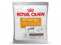 Лакомство для собак старше 2 месяцев Royal Canin RC energy 50g.