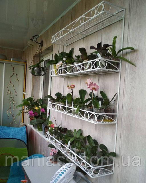 Стелаж настінний 1