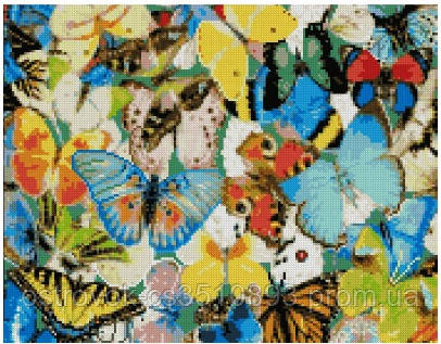 Алмазная картина FA40007 "Красочные бабочки", размером 40х50 см - фото 1 - id-p1467920751