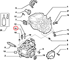 Датчик заднього ходу Fiat Ducato 244, Peugeot Boxer 2, Citroen Jumper (2002-2006), 9662906780, 225753, фото 8