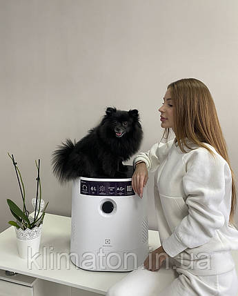Мийка повітря Electrolux EHW-600, фото 2