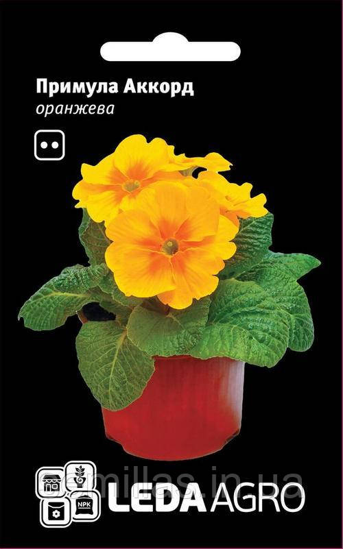 Насіння примули Акорд S1, 10 шт., помаранчева