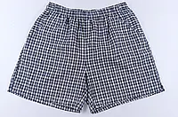 Шорти чоловічі ЛЕН карта