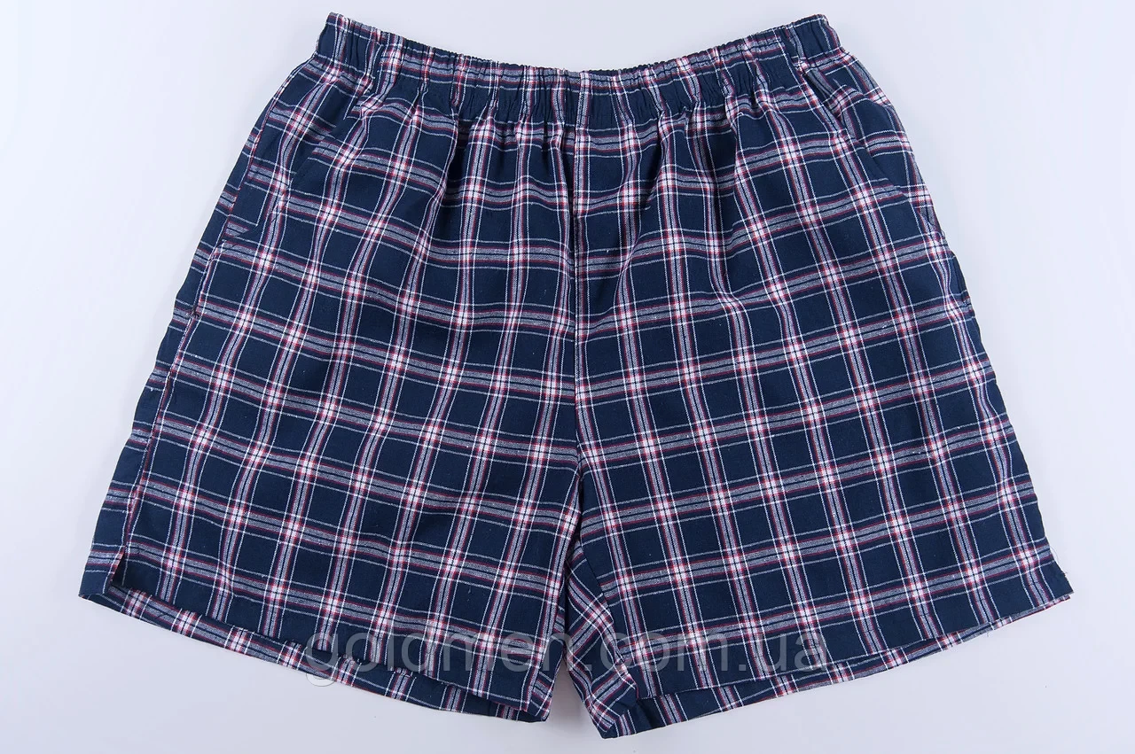 Шорти чоловічі ЛЕН карта - фото 1 - id-p1468246480