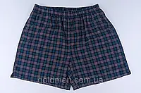 Шорти чоловічі ЛЕН карта
