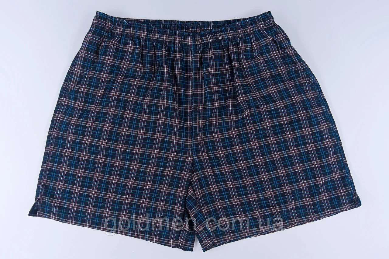 Шорти чоловічі ЛЕН карта - фото 1 - id-p1468247844