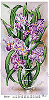 Казкові іриси