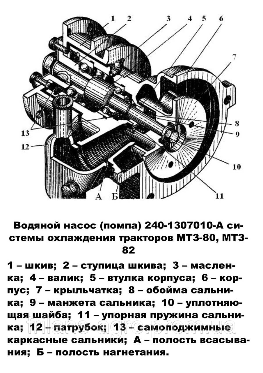 Насос водяной (помпа) МТЗ-80, Д-240 КапРемонт - фото 4 - id-p223977269