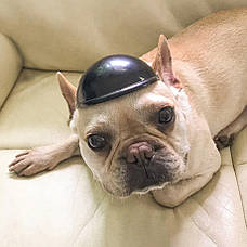 Мотоциклетний шолом RESTEQ для тварин, розмір M. Мотошолом для собаки. Мотошолом для кота, фото 2