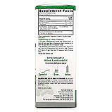 Nature's Answer, чорна бузина, 12 000 мг, 120 мл (4 рідин та си. унції), фото 2