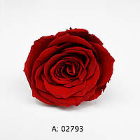 Роза красная большая Ø5-6 см Verona Red, 1 бутон