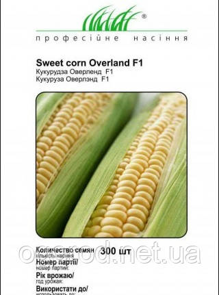 Оверленд F1 насіння кукурудзи Syngenta Голландія 300 шт