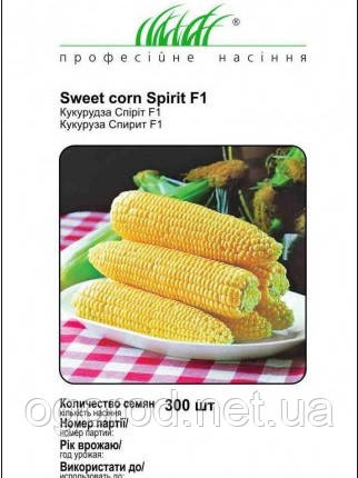 Спірит F1 насіння кукурудзи Syngenta Голландія 300 шт