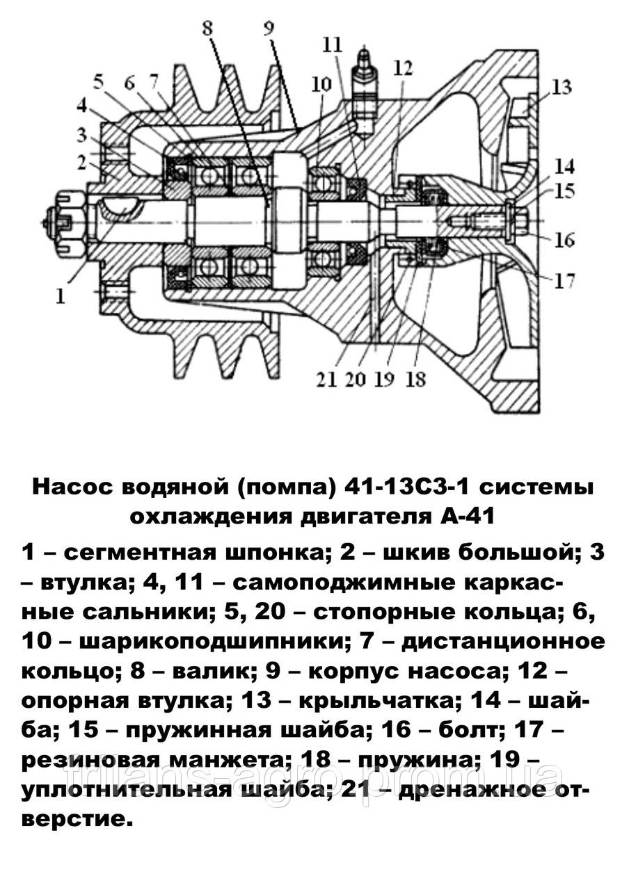 Насос водяной (помпа) А-41 - фото 3 - id-p223994265