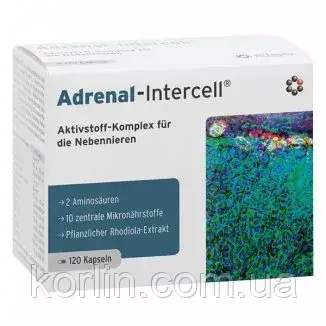 Вітамінний комплекс для мозку 120 кап Adrenal-Intercell INTERCELL Pharma Німеччина Доставка з ЄС