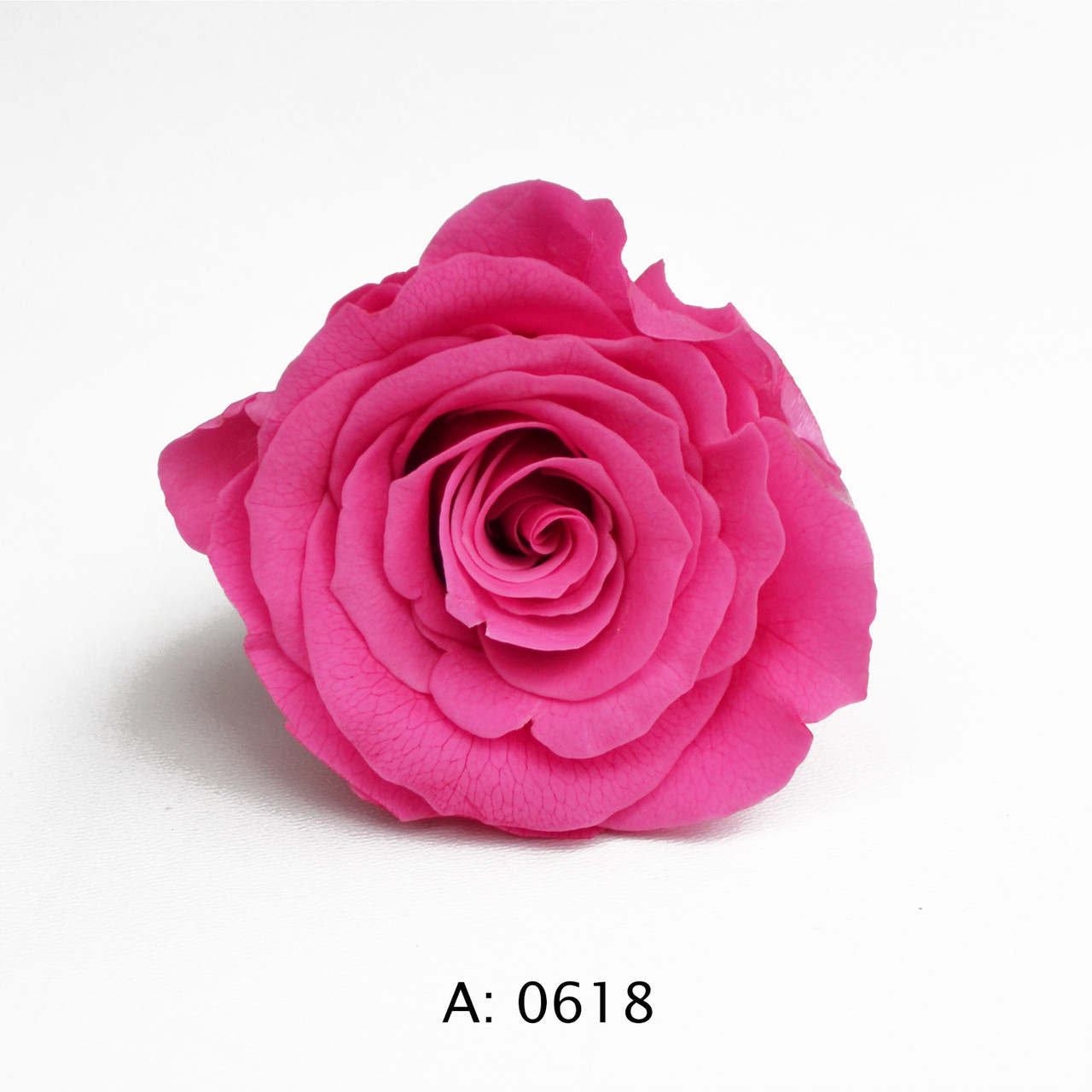 Троянда рожева середня Ø3,5-4,5 см Pink, 1 бутон