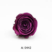 Роза фиолетовая мини Ø2-3 см Plum, 1 бутон