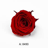 Роза красная мини Ø2-3 см Verona Red, 1 бутон