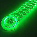 Світлодіодна стрічка зелена LED з клейкою основою 8 мм 9.6 W/м 120 LED/м IP20 MTK-600G3528-12, фото 2