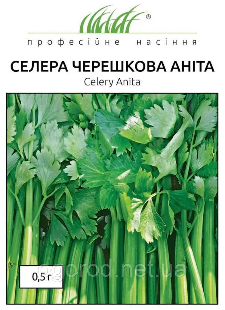Селера Аніта черешкова United Genetics Італія 0.5 г