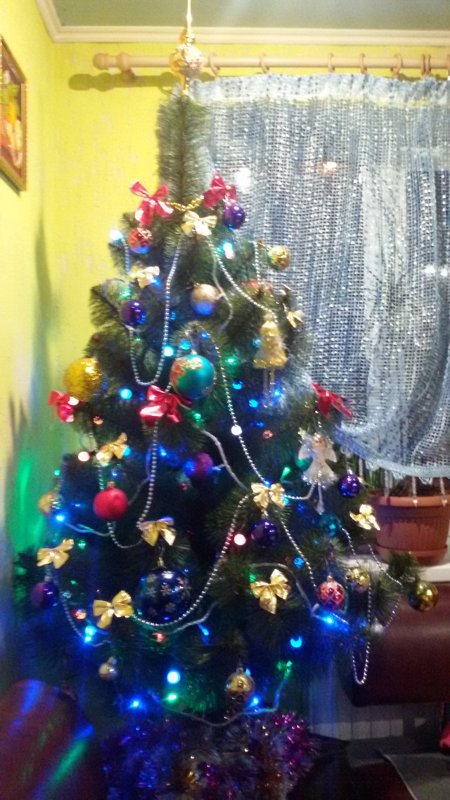 Макарова Алена